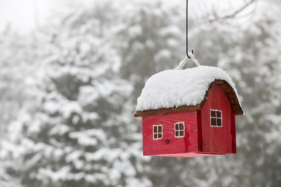 Outdoor LoungemObel Aus Holz ~ Prepare Your Real Estate Investments For Winter! Blue Ink Homes, LLC Outdoor LoungemObel Aus Holz ~ Prepare Your Real Estate Investments For Winter! Blue Ink Homes, LLC